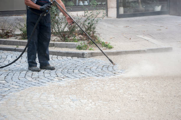 Best Parking Lot and Garage Cleaning  in Lake Wazeecha, WI
